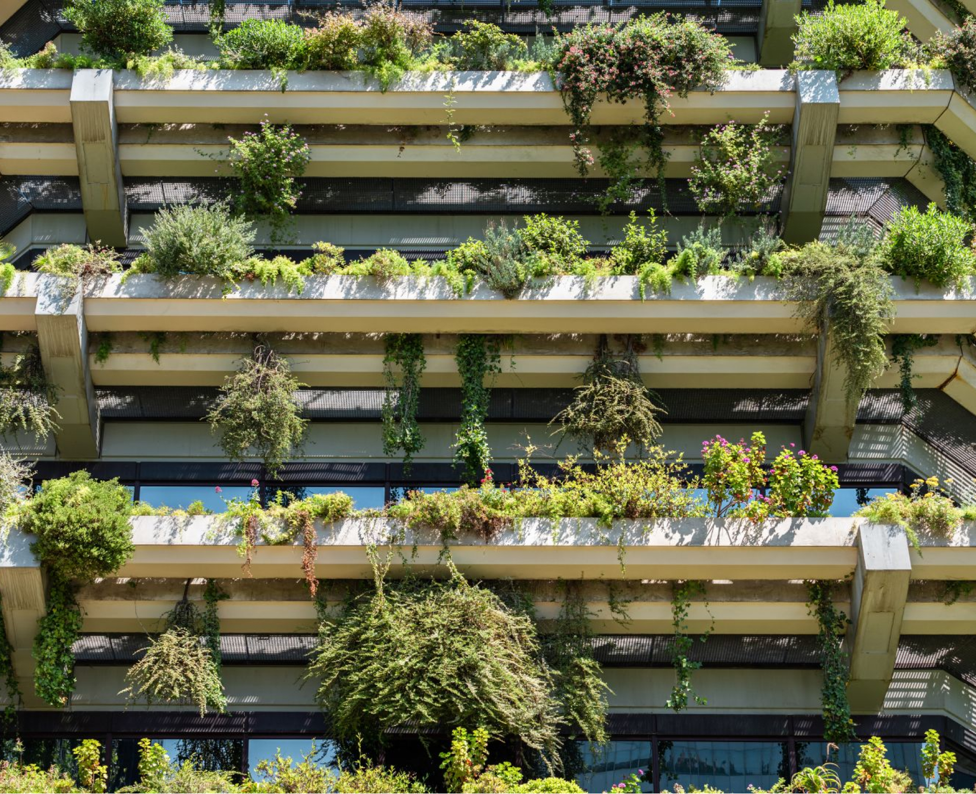 Site Analysis and Feasibility Studies